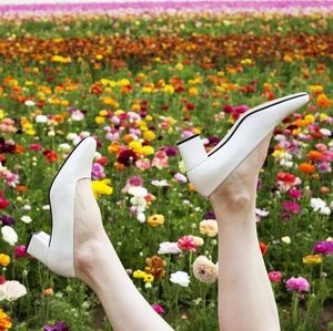 Amalfi Italian Leather Shoes